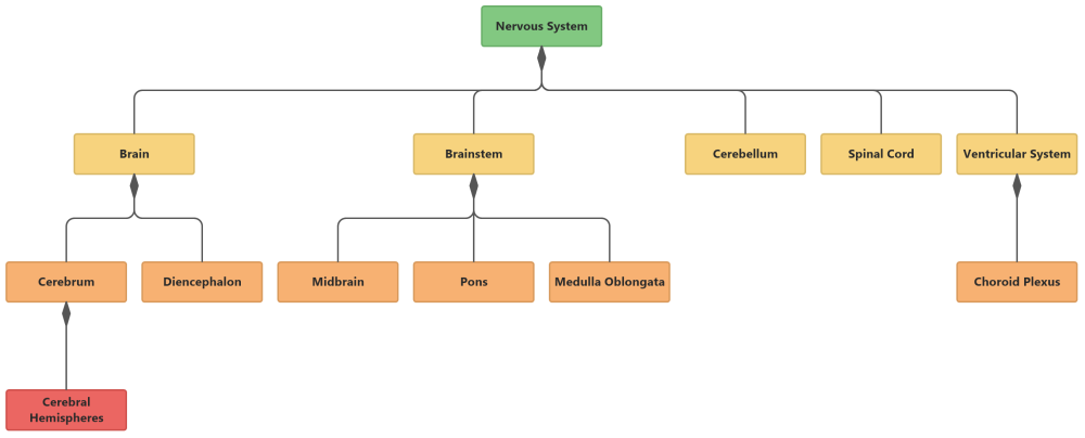 Nervous System (UML Class Diagram)