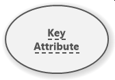 Weak Key Attribute (Chen ERD)