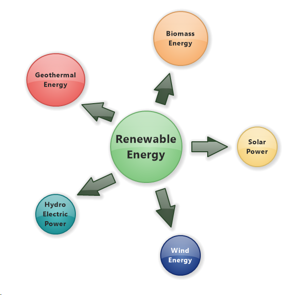 Renewable Energy (Radial Diagram)